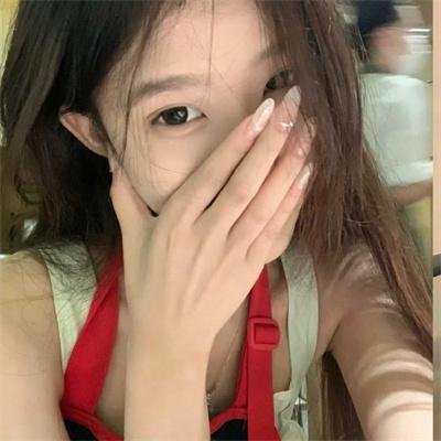完美伴侣